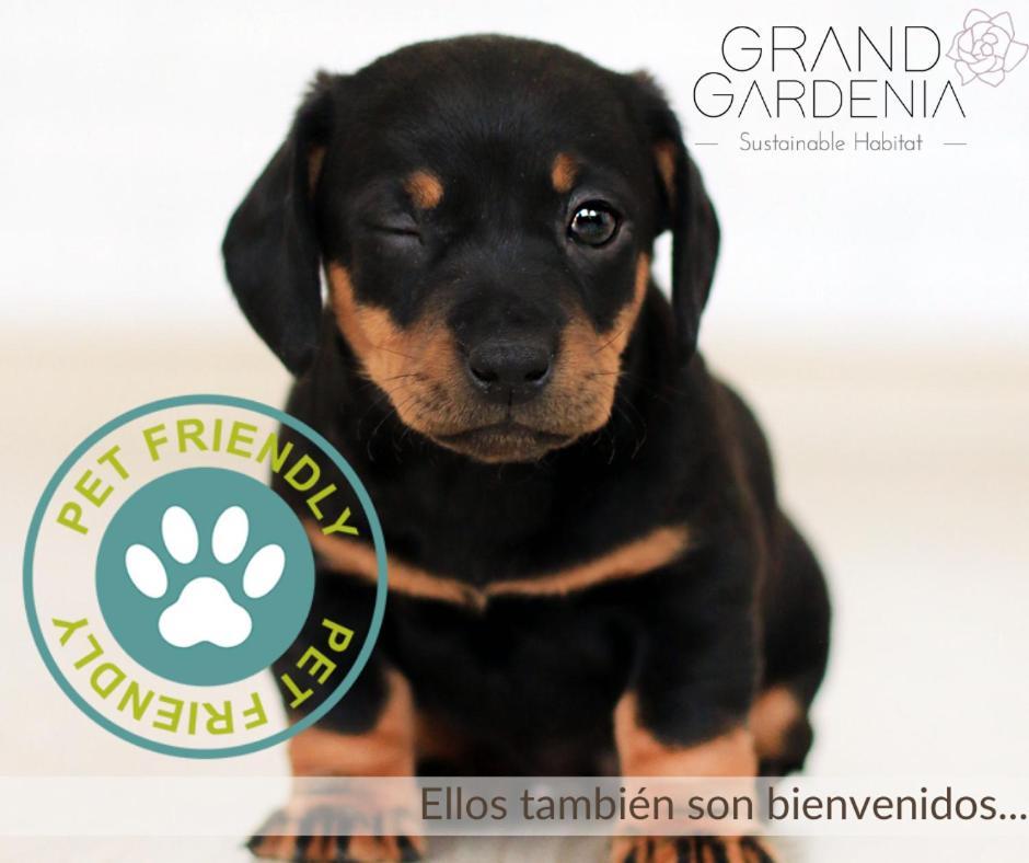 ホテル Grand Gardenia アトリスコ エクステリア 写真
